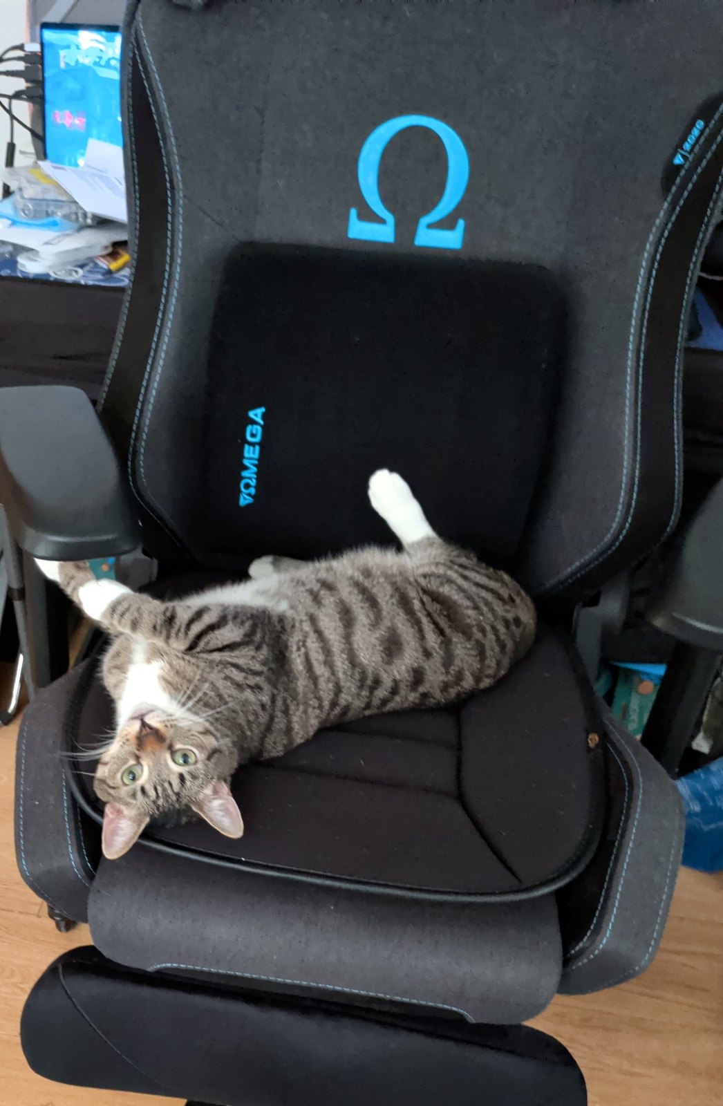 Mushi, helping The supervisor.